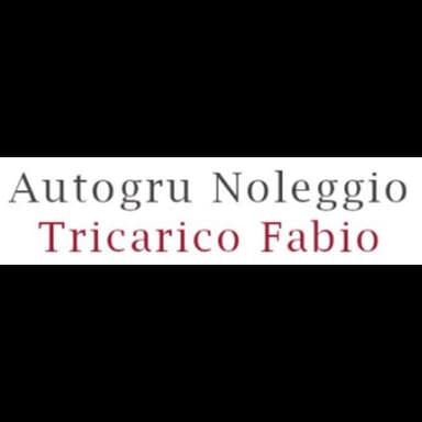 Autogru Noleggio Tricarico Fabio