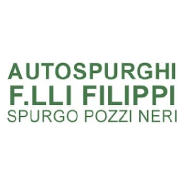 Autospurghi F.lli Filippi - Pozzi Neri