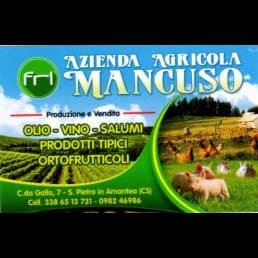 Azienda Agricola Mancuso Prodotti Tipici Olio Vini Salumi