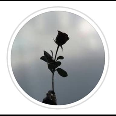 Black Roses di Caterina Galuppo