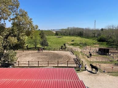 Centro Equestre Federale - F.I.S.E - C.O.N.I - Jumping Equestrian Academy
