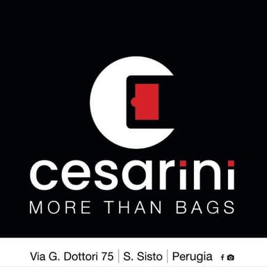 Cesarini More Than Bags (Cesarini Pelletteria S.r.l.)