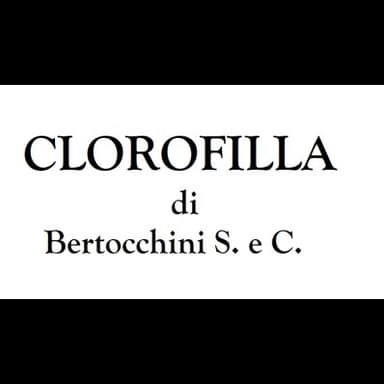 Clorofilla