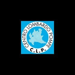 C.L.P. S.R.L.