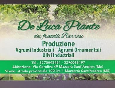 De Luca Piante dei Fratelli Barresi