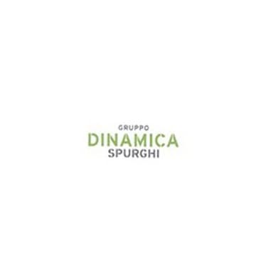 Dinamica Spurghi