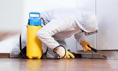 Disinfestazioni 3d di Pozzan Devis