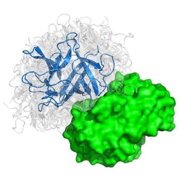 Dott. Chim. Massimiliano Passerini