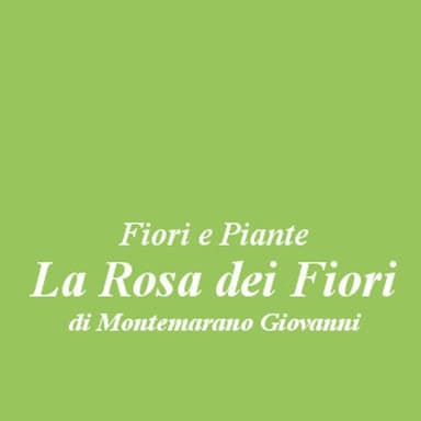 Fiori e Piante La Rosa dei Fiori