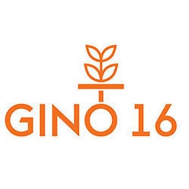 Gino 16