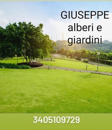 Giuseppe alberi e giardini