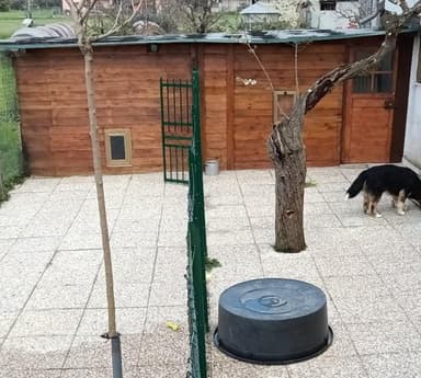 "Happy's Family" Pensione per cani&gatti e allevamento