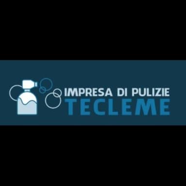 Impresa di Pulizie Tecleme Anna Giorgina