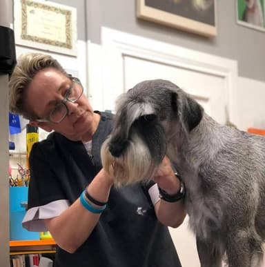 Impronte Di Stile Toelettarura & Spa