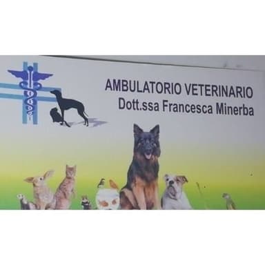 Minerba Dott.ssa Francesca Veterinario - Si Riceve Anche su Appuntamento