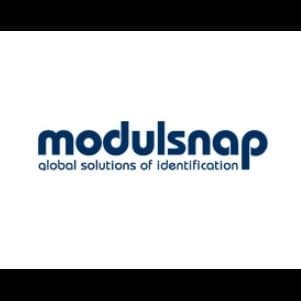 Modulsnap