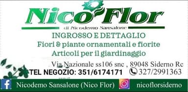 Nico Flor di Nicodemo Sansalone