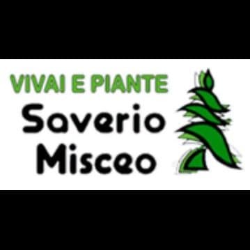 Saverio Misceo Vivai e Piante