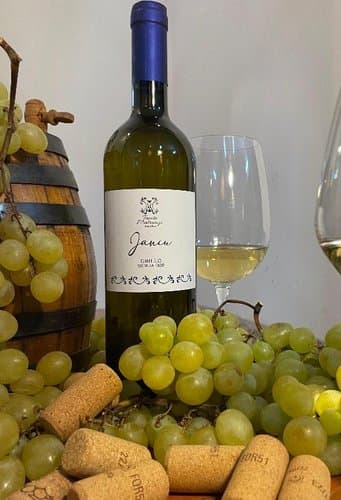 Tenute Matranga SICILY OF WINES