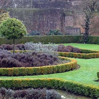 Verde Giardini di Riti Gianluca