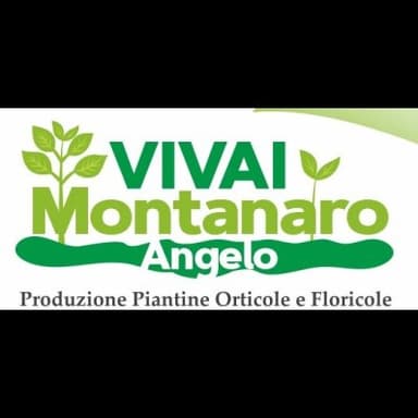 Vivai Montanaro Angelo-Produzione Piantine Orticole e Floricole